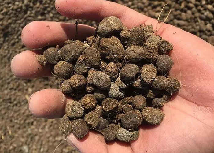 Гранилятор удобрений в гранулировании органических материалов, таких как сена лошадиные отходы растительные остатки и фулвиновая кислота